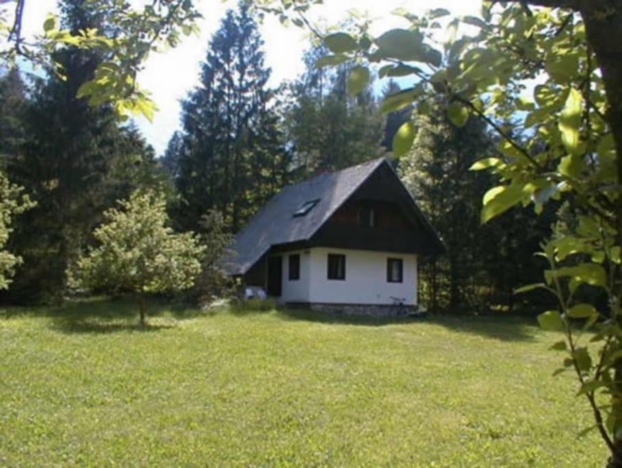 Apartment Lake Bohinj No. 5 외부 사진