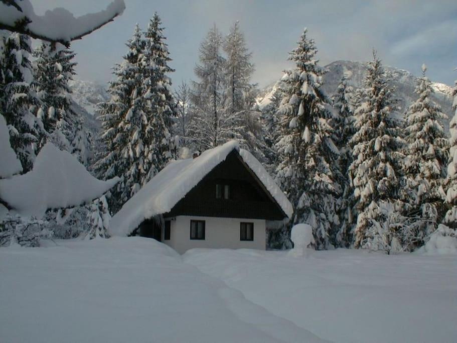 Apartment Lake Bohinj No. 5 외부 사진