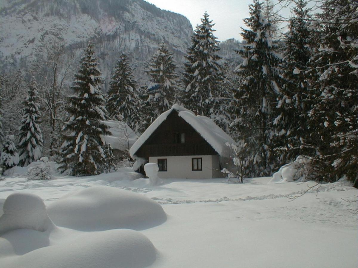 Apartment Lake Bohinj No. 5 외부 사진